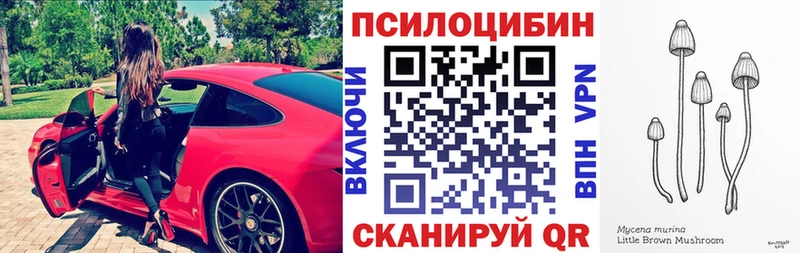 Псилоцибиновые грибы Psilocybe  Саки 